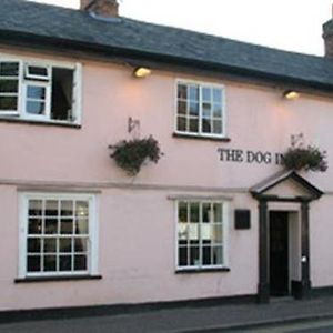The Dog Inn Halstead (Essex) Exterior photo