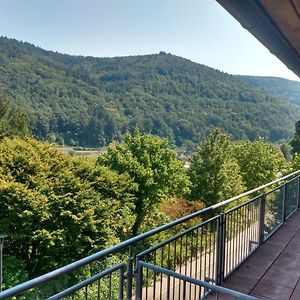 Hotel Zum Neckartal Heidelberg Exterior photo