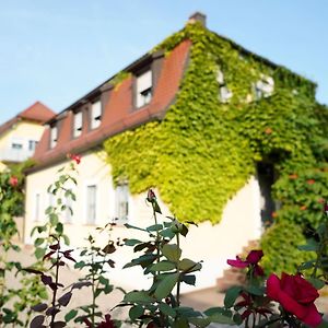 Weingut Martin Blass Erlabrunn (Wurzburg) Exterior photo