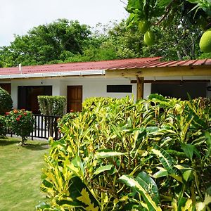 Cozy Cottage Posada Turistica San Andrés Exterior photo