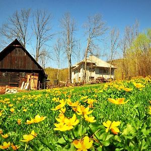 Agropensiunea Tarina Rosia Montana Exterior photo