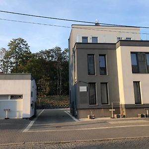 Business Apartament Leszno (Greater Poland) Exterior photo