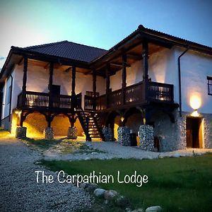The Carpathian Lodge Runcu (Gorj) Exterior photo