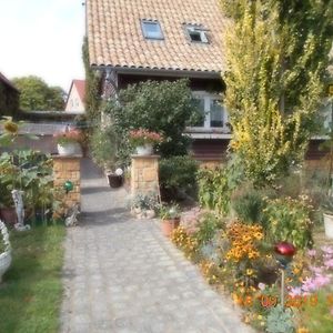 Vermiete Sehr Schoenes Apartment In Dankerode Im Harz Dankerode (Saxony-Anhalt) Exterior photo