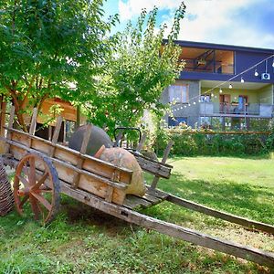 Bucha'S Guest House & Wine Cellar Telavi Exterior photo