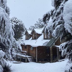 Charlies Cabin - Mt Lyford Exterior photo