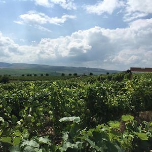 Wineyards Salin Turda Exterior photo