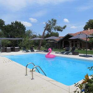 Les Terrasses Des Mimosas Caumont-sur-Garonne Exterior photo