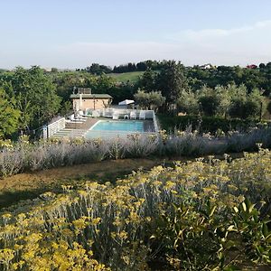 Il Gelso Country House Castorano (Ascoli Piceno) Exterior photo