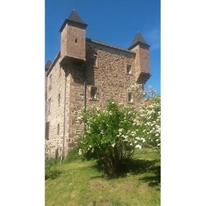 Chambres D Hotes Chateau D Arcis Les Granges (Haute-Loire) Exterior photo