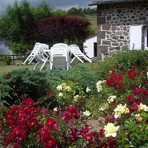 Ferme De Lamourio Saint-Cernin (Cantal) Exterior photo