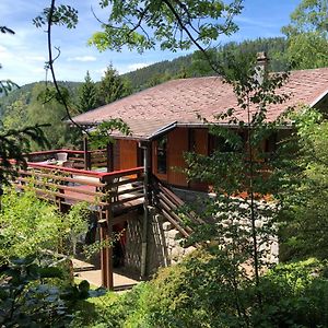 Chalet Braunkopf Alsace Muhlbach-sur-Munster Exterior photo