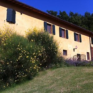 B&B Cal Torello Urbino Exterior photo