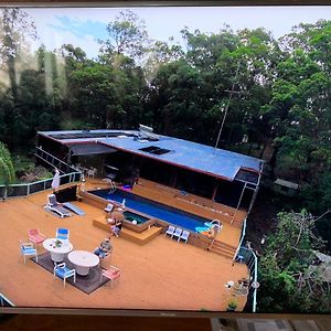 Where The Forest Meets The Sea On The Gold Coast Tallebudgera Exterior photo