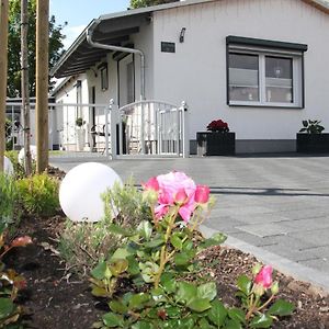 Ferienhaus Gluecksmoment Blankenburg (Harz) Exterior photo