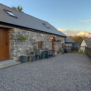 The Reindeer Retreat Buttercup Twin Kidwelly Exterior photo