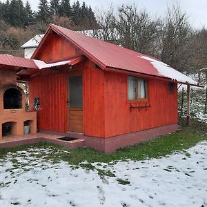 Casa La Lepe Rosia Montana Exterior photo