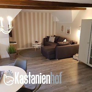 Neu Renovierte Ferienwohnung Mit Poolhaus & Sauna Auf Dem Bauernhof Oetzen Exterior photo