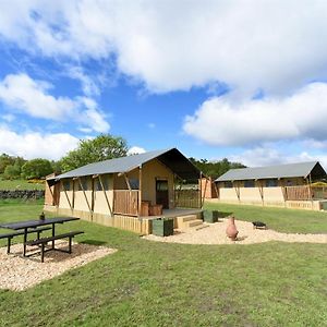 Carr'S Hill Luxury Safari Tents Denny Room photo