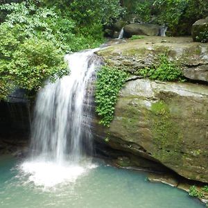 Buderim Forest Hideaway Exterior photo