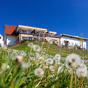 Weingut Und Gaestezimmer Perner Ehrenhausen Exterior photo