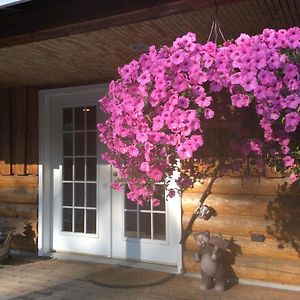 Denali Fireside Cabin & Suites Talkeetna Exterior photo