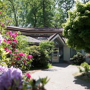 Hotel Heidenauer Hof Heidenau (Lower-Saxony) Exterior photo