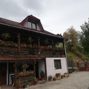 Casa Cozorici Sadova (Suceava) Exterior photo