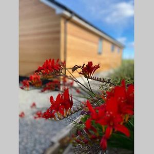 The Gallafield, Self Catering Bungalow , Stornoway Stornoway (Isle of Lewis) Exterior photo