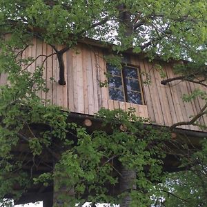 Treehouse Magpies Nest With Bubble Pool Avesta Exterior photo