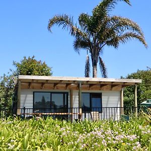 Mount And Surf View Cabin Pataua Exterior photo