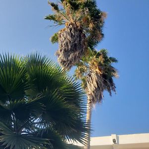 Sea Shell Palms, Ocho Rios Exterior photo