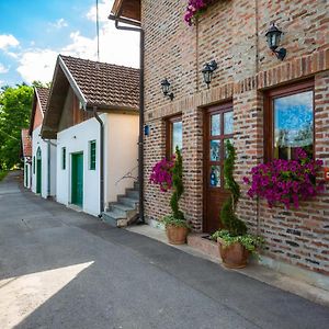 Podrumi Kolar "Suza Baranje" Kneževi Vinogradi Exterior photo