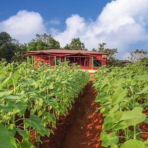 Aarya Farm Bhom Exterior photo