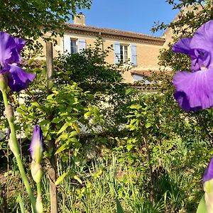 Le Petit Cochon Valence-sur-Baise Exterior photo