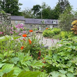 Crug Yr Eryr Isaf Llandysul Exterior photo