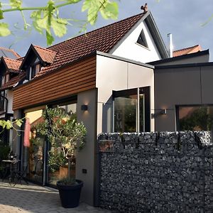 Winzerhof & Weincafe Gumpelein Willanzheim Exterior photo