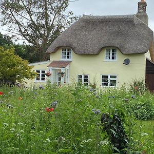 Primrose Cottage Moreton (Dorset) Exterior photo