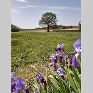 Gite Du Clos Baste Moncaup (Pyrenees-Atlantiques) Exterior photo