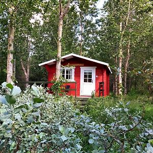 Bakkakot 3 Cozy Cabin In The Woods Akureyri Exterior photo