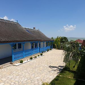 Casa Dima Sarichioi Exterior photo