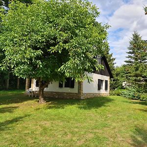 Domek W Lesie Bory Tucholskie Jezewo (Swiecie) Exterior photo