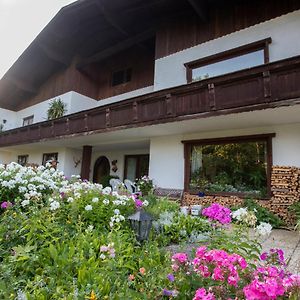 Haus Kogler Inzersdorf im Kremstal Exterior photo