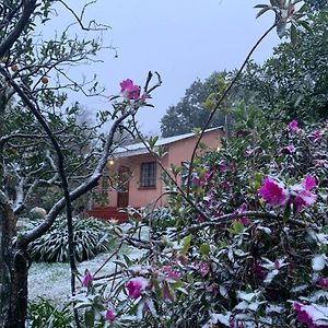 Whinstone Farm Greytown Exterior photo