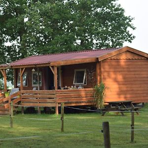 Tiny House Het Reebokje Vriescheloo Exterior photo