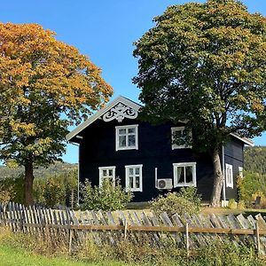Eika Cottage: Cozy, Rural, Spacious And Well-Equiped Amot (Buskerud) Exterior photo