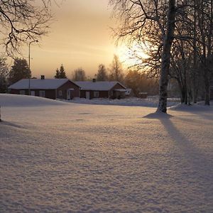 Lapland Stuga & Tours Rentjarn Exterior photo