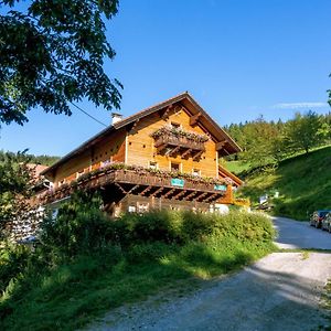 Almbauer Morgenbesser Trattenbach (Lower Austria) Exterior photo