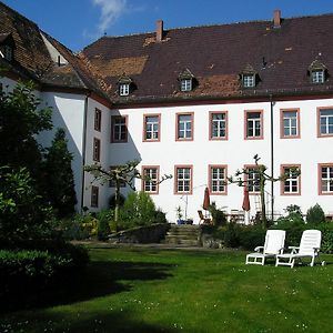 Schloss Triestewitz Arzberg (Saxony) Exterior photo
