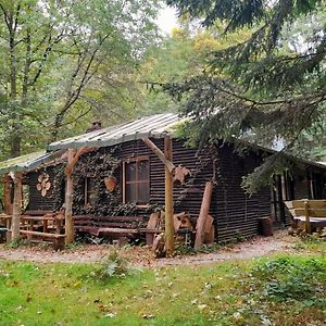 Das Wilde Auwaldhaus Bertsdorf Exterior photo